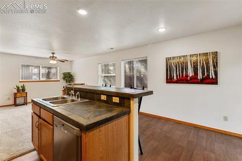 Tiny photo for 509 Dallas Alley, Woodland Park, CO 80863 (MLS # 3676532)