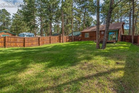 Tiny photo for 509 Dallas Alley, Woodland Park, CO 80863 (MLS # 3676532)
