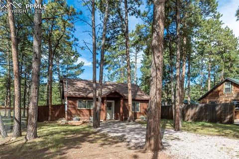 Tiny photo for 509 Dallas Alley, Woodland Park, CO 80863 (MLS # 3676532)