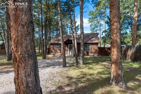Tiny photo for 509 Dallas Alley, Woodland Park, CO 80863 (MLS # 3676532)