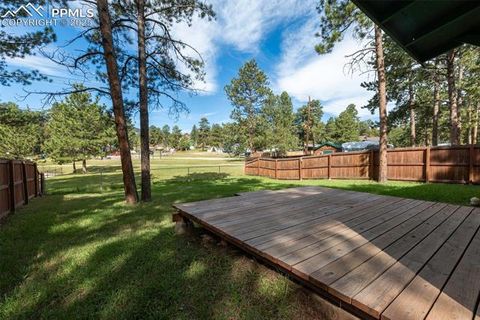 Tiny photo for 509 Dallas Alley, Woodland Park, CO 80863 (MLS # 3676532)