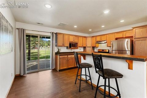 Tiny photo for 509 Dallas Alley, Woodland Park, CO 80863 (MLS # 3676532)
