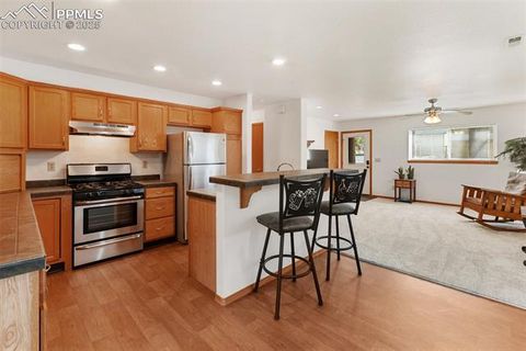 Tiny photo for 509 Dallas Alley, Woodland Park, CO 80863 (MLS # 3676532)