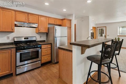 Tiny photo for 509 Dallas Alley, Woodland Park, CO 80863 (MLS # 3676532)