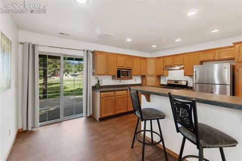 Tiny photo for 509 Dallas Alley, Woodland Park, CO 80863 (MLS # 3676532)