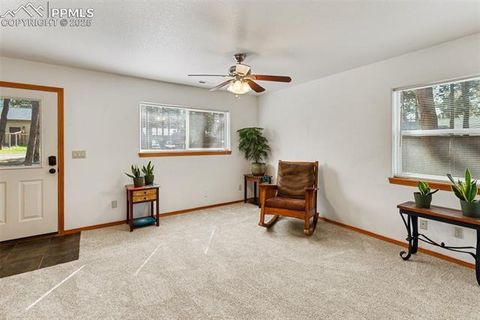 Tiny photo for 509 Dallas Alley, Woodland Park, CO 80863 (MLS # 3676532)