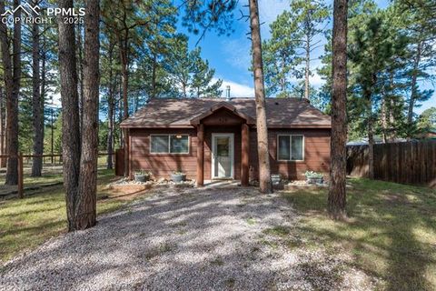 Tiny photo for 509 Dallas Alley, Woodland Park, CO 80863 (MLS # 3676532)