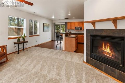Tiny photo for 509 Dallas Alley, Woodland Park, CO 80863 (MLS # 3676532)