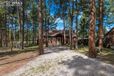 Tiny photo for 509 Dallas Alley, Woodland Park, CO 80863 (MLS # 3676532)