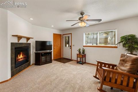 Tiny photo for 509 Dallas Alley, Woodland Park, CO 80863 (MLS # 3676532)