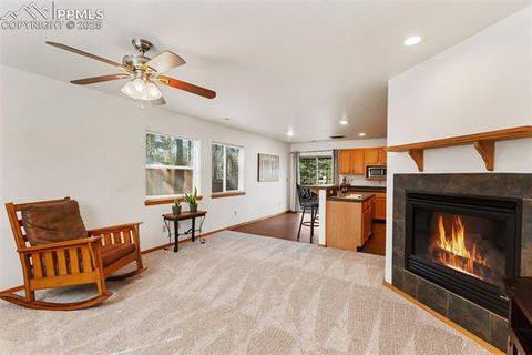 Tiny photo for 509 Dallas Alley, Woodland Park, CO 80863 (MLS # 3676532)