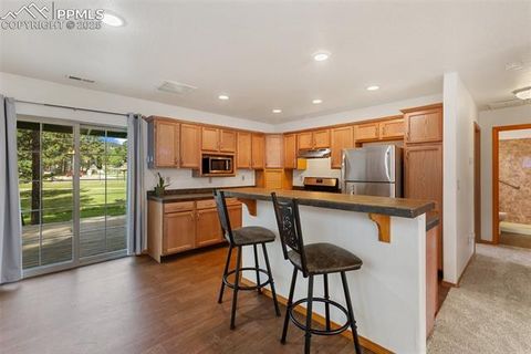 Tiny photo for 509 Dallas Alley, Woodland Park, CO 80863 (MLS # 3676532)