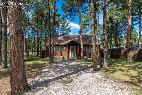 Photo of 509 Dallas Alley, Woodland Park, CO 80863 (MLS # 3676532)