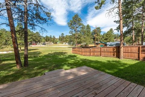 Tiny photo for 509 Dallas Alley, Woodland Park, CO 80863 (MLS # 3676532)