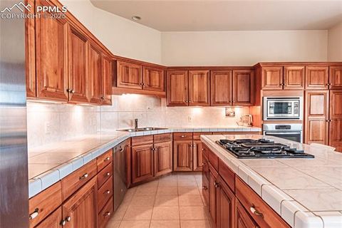 Tiny photo for 4019 San Felice Point, Colorado Springs, CO 80906 (MLS # 1577118)