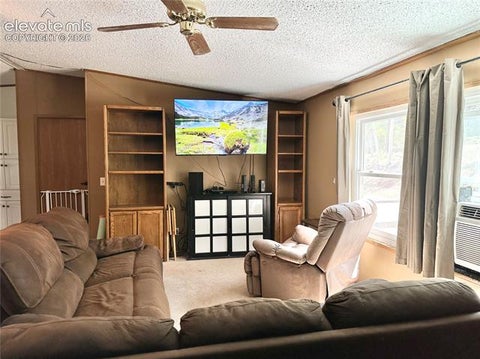 Tiny photo for 45 La Abu Trail, Florissant, CO 80816 (MLS # 7327064)