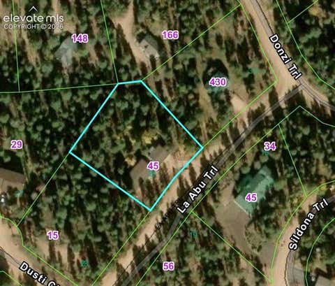 Tiny photo for 45 La Abu Trail, Florissant, CO 80816 (MLS # 7327064)