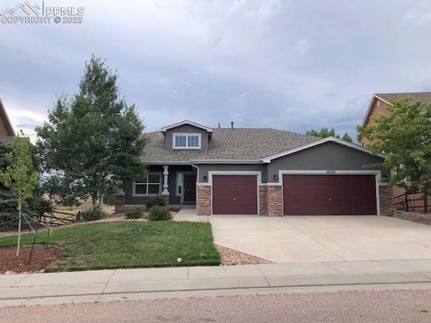 10532 Capital Peak Way Peyton CO 80831