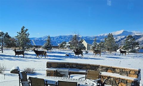 Tiny photo for 1425 Vine Cliff Heights, Colorado Springs, CO 80921 (MLS # 3884069)