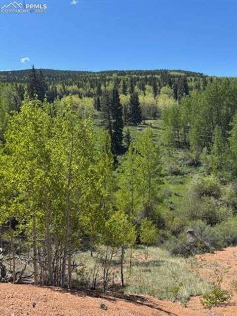 Photo of 124 Yorktown Drive, Cripple Creek, CO 80813 (MLS # 5069316)