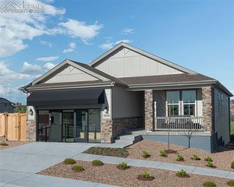 2010 Peachleaf Loop Castle Rock CO 80108