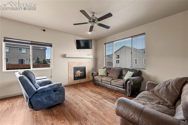 11584 Louvre Point