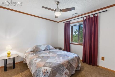 Tiny photo for 205 Deerfield Circle, Florissant, CO 80816 (MLS # 3801340)