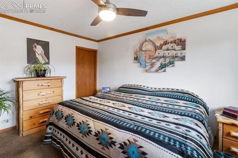 Tiny photo for 205 Deerfield Circle, Florissant, CO 80816 (MLS # 3801340)