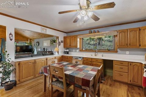 Tiny photo for 205 Deerfield Circle, Florissant, CO 80816 (MLS # 3801340)