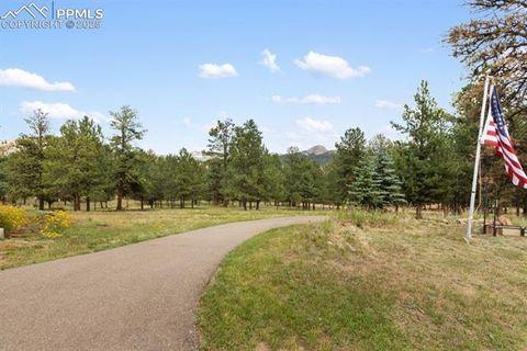 Tiny photo for 205 Deerfield Circle, Florissant, CO 80816 (MLS # 3801340)
