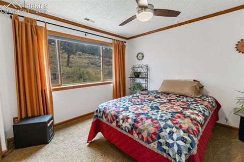 Tiny photo for 205 Deerfield Circle, Florissant, CO 80816 (MLS # 3801340)
