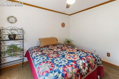 Tiny photo for 205 Deerfield Circle, Florissant, CO 80816 (MLS # 3801340)