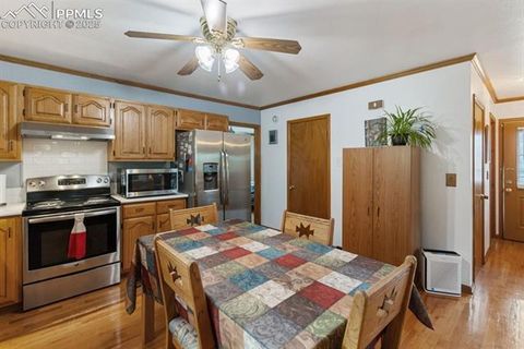 Tiny photo for 205 Deerfield Circle, Florissant, CO 80816 (MLS # 3801340)