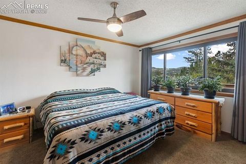 Tiny photo for 205 Deerfield Circle, Florissant, CO 80816 (MLS # 3801340)