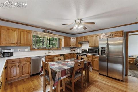 Tiny photo for 205 Deerfield Circle, Florissant, CO 80816 (MLS # 3801340)