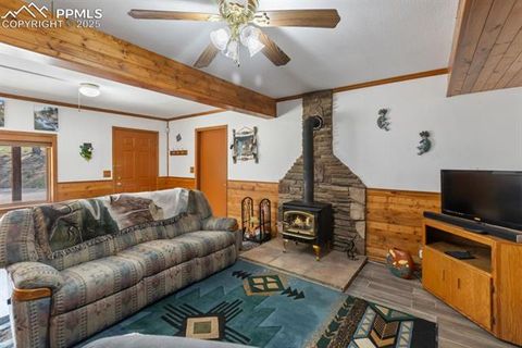 Tiny photo for 205 Deerfield Circle, Florissant, CO 80816 (MLS # 3801340)