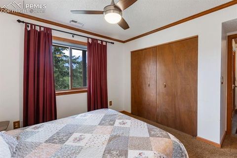 Tiny photo for 205 Deerfield Circle, Florissant, CO 80816 (MLS # 3801340)