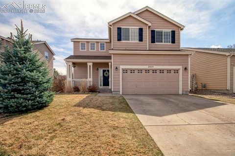 Photo of 3909 Springs Ranch Drive, Colorado Springs, CO 80922 (MLS # 2643816)
