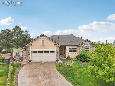 307 Whistler Creek Court Monument CO 80132