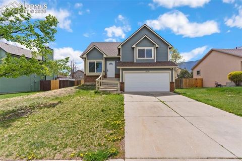 Photo of 1429 N Canoe Creek Drive, Colorado Springs, CO 80906 (MLS # 9749208)