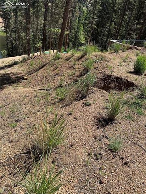 Photo of 67 Gerka Lane, Florissant, CO 80816 (MLS # 2778645)