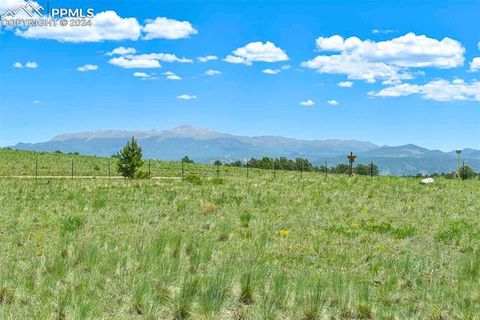 Photo of 56 View Lane, Guffey, CO 80820 (MLS # 2994281)