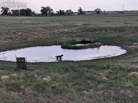 Tiny photo for 21825 Drennan Road, Colorado Springs, CO 80928 (MLS # 3166249)