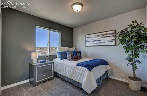 Tiny photo for 4548 Hawk Haven View, Security, CO 80911 (MLS # 4705339)