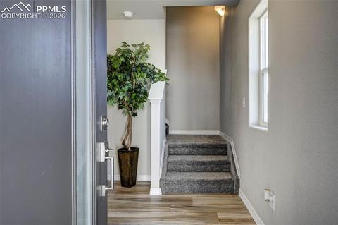 Tiny photo for 4548 Hawk Haven View, Security, CO 80911 (MLS # 4705339)
