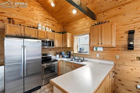 Tiny photo for 526 Wakanda Trail, Woodland Park, CO 80863 (MLS # 7327857)