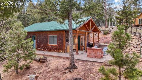 Photo of 526 Wakanda Trail, Woodland Park, CO 80863 (MLS # 7327857)
