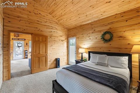 Tiny photo for 526 Wakanda Trail, Woodland Park, CO 80863 (MLS # 7327857)