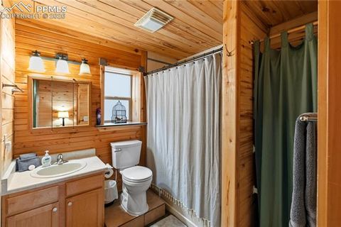 Tiny photo for 526 Wakanda Trail, Woodland Park, CO 80863 (MLS # 7327857)