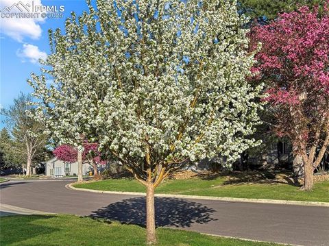 Tiny photo for 422 Cobblestone Drive, Colorado Springs, CO 80906 (MLS # 8884083)